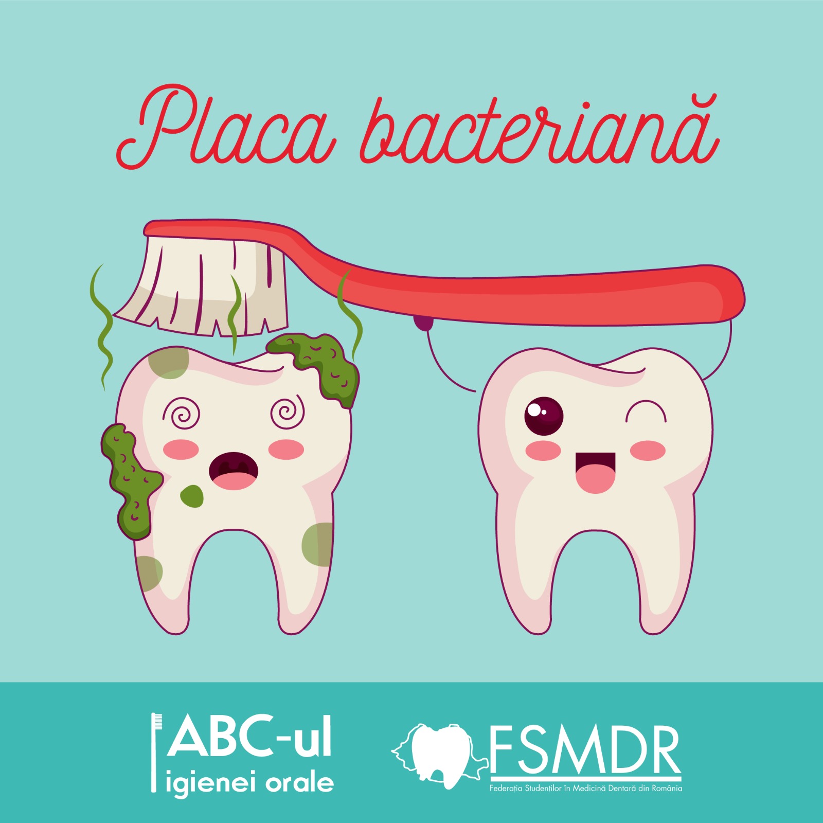 ABC-ul IGIENEI ORALE #7 Placa bacteriană dentară